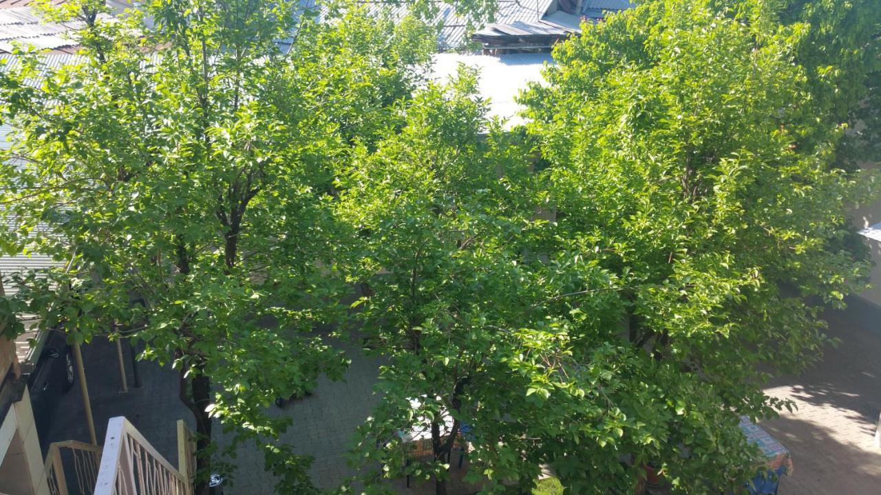 塔什干古尔纳拉旅馆住宿加早餐旅馆 外观 照片
